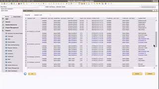 SAP Business One: Audit Trail Report Demo
