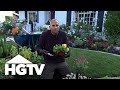 Landscaping Tips: Annuals and Perennials | Gardening Tips | HGTV