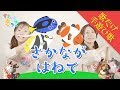 【歌だけ手遊び歌】さかながはねて 歌詞付 Nursery Rhymes & Kids Songs【プチアニメ】