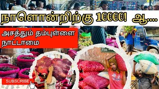 தம்புள்ளை மரக்கறி வியாபாரம் | Travel to dambulla market @dambulla #pointpedro #jaffna #dambulla