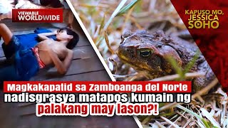 Magkakapatid, nadisgrasya matapos kumain ng palakang may lason?! | Kapuso Mo, Jessica Soho