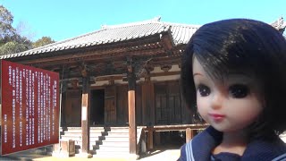 30秒の心象風景24137・国宝の本堂～朝光寺～