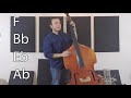 Learn How To Play The Upright Bass Lesson 1