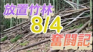 放置竹林奮闘記【サラリーマンが竹を切る日々】2023/08/04