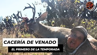 Cacería de Venado, cazamos el primero de la temporada