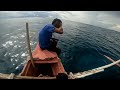 hunting octopus and spearfishing