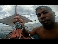 hunting octopus and spearfishing