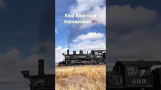 Real American Horsepower 🇺🇸 #steamtrain #horsepower #america #trains