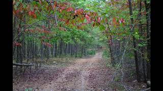 Arkansas Traveller 100 Course in Photos