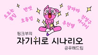 핑크부가 오르는 방법 알려드림...💖  자We초년생들을 꼭 보시길...댓글 이벤트도 있음