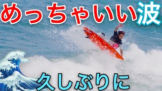 【いちご浜】めっちゃいい波でサーフィンしてみた！