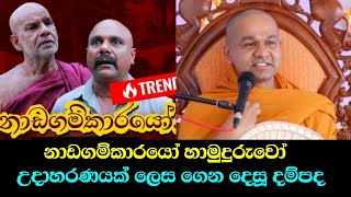 සංයමයක් නැති පැවිද්දා | ven mawarale baddhiya thero