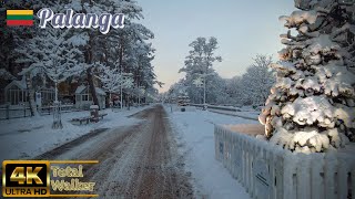 Palanga, Lithuania winter City Walk, Fresh Morning Snow 4k (60fps)