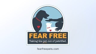 Fear Free: Practice Like You've Always Dreamed