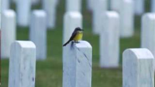 Donnellan Family Funeral Services