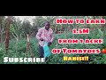 How to earn 1.5 Million from 1 Acre of Tomatoes in Kenya. Mkulima Hodari wa Nyanya Part 1