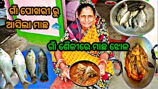 ଗାଁ ଶୈଳୀରେ ମାଛ ଝୋଳ//Odia machha jhola recipe //village fish curry//fish//@sona village life vlog