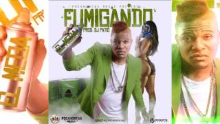 El Mega En El Callejon - Fumigando (Prod Dj Patio)