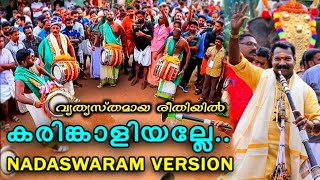 💥💥കരിങ്കാളിയല്ലേ സോങ് ഇതിലും മനോഹരമായി അവതരിപ്പിക്കാൻ സാധിക്കില്ല💥💥തിപ്പിലശ്ശേരി ബ്രദേഴ്സ് തകർത്തു💥💥