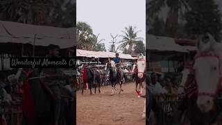 Anthiyur Horse 🐎 Show @WonderfulMomentsckp