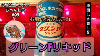 【グリーンFリキッド】白点病、水カビ病の最終兵器を使ってみた＃09