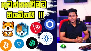 ගුවන්ගතවීමට නියමිතයි !!! | ලොකු ප්‍රොෆිට් ගන්න...වෙළෙඳපොළ විශ්ලේෂණය 2025/1/26 Alt Coins + BTC Update