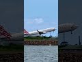 Virgin Australia Takeoff Sydney Airport #shorts #sydneyairport #virginaustralia #sydney #viral