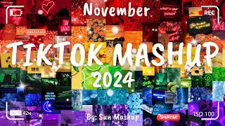 Tiktok Mashup November 💖2024💖 (Not Clean)