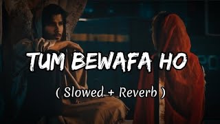 Tum Bewafa Ho Lofi Song | Slowed + Reverb | Stebin Ben New Hindi Song | #new #lofi #trendingsong