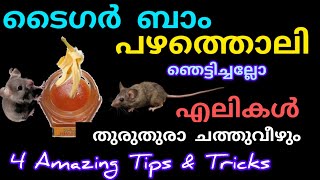 കൊല കടക്കാരൻ പറഞ്ഞു തന്ന സൂത്രം || എലികൾ തുരുതുരെ ചത്തു വീഴാൻ ഒരല്പം ടൈഗർ ബാമും ഒരു പഴത്തൊലിയും മതി