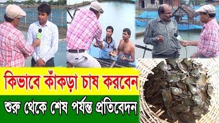 কাঁকড়া চাষ পদ্ধতি কিভাবে করবেন শুরু থেকে শেষ পর্যন্ত প্রতিবেদন=Kakra Chas=Dewan Siraj=Mati O Manush