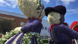 Flower Parade in the Netherlands Live Streaming 23 April 2016 / Bloemencorso in Nederlands