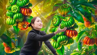 BREAKING! Woman Harvesting Green almonds to sell at the market | Rare herbs to prevent cancer