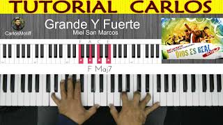 Grande y Fuerte - Miel San Marcos. Tutorial Carlos