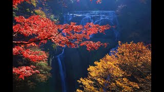 JG☆☆☆☆ 茨城 袋田の滝(名勝)の紅葉 Ibaraki,Fukuroda Fall (Scenic Beauty)