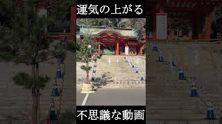 ⚠️運気が上がる不思議な動画⚠️⛩️神回※もし逃したら二度とありません⛩️香取神宮⛩️2025年、巳年、初詣⛩️　#shorts