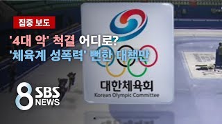 '4대 악' 척결 어디로?…'체육계 성폭력' 뻔한 대책만 / SBS