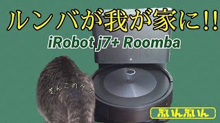 ルンバで猫の毛も楽々お掃除！iRobot J7+ Roomba  ぷいんぷいん070