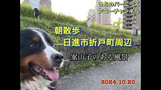 朝散歩 日進市折戸町周辺　2024.10.20.