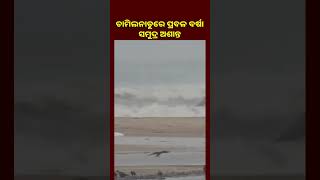 ତାମିଲନାଡୁରେ ପ୍ରବଳ ବର୍ଷା, ସମ୍ଭାବ୍ୟ ବାତ୍ୟା ପ୍ରଭାବରେ ସମୁଦ୍ର ଅଶାନ୍ତ || KNews Odisha