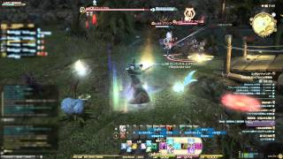 FFXIV Duty Finder【奪還支援 ブレイフロクスの野営地】