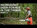 Increasing Deer Forage In Timber Stands | Habitat Management