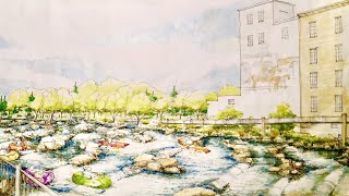 The Future of the Ames Mill Dam | Northfield, Minnesota