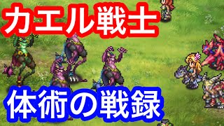 ロマサガRS 追憶の幻闘場 [H]カエル戦士 体術レベル5