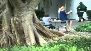 Deviant Behavior (Sociology) Project: Breaking Social Norms
