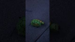 Mr. Turtle by TNT Fireworks