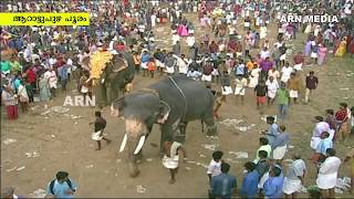 Arattupuzha Pooram 2018 Elephants LIVE