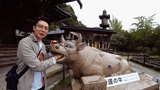 【先達帶路】 西國三十三所觀音寺 巡禮 三