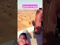 jannat ul baqi jannatulbaqi makkha live subscribe support 💖💖 love