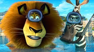 DreamWorks Madagascar | Alex and Marty Best Friends | Madagascar Funny Scenes |